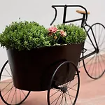 B&B Santa Maria Di Leuca Bed & Breakfast