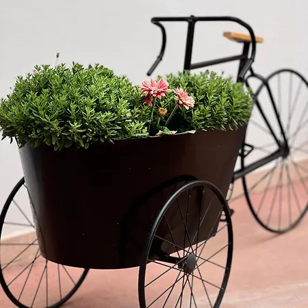 B&B Santa Maria Di Leuca Couette-café