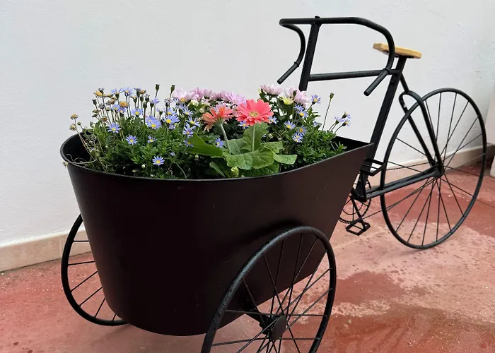 Bed and Breakfast B&B Santa Maria Di Leuca