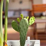 Bed and breakfast B&B Santa Maria Di Leuca Santa Maria di Leuca