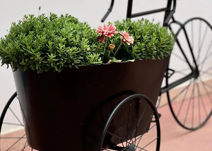 B&B Santa Maria Di Leuca Bed & Breakfast